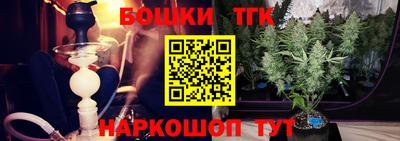 хмурый Кингисепп