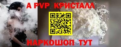 хмурый Кингисепп