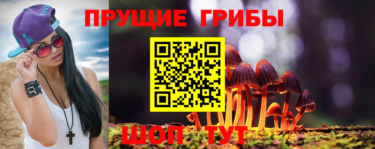 Псилоцибиновые грибы MAGIC MUSHROOMS Таганрог