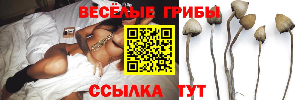 Таганрог  Псилоцибиновые грибы GOLDEN TEACHER  Вход с VPN 